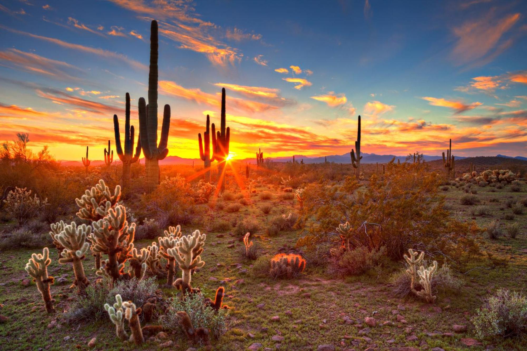 Clubgate Villa & Kierland Escape Scottsdale Ruang foto